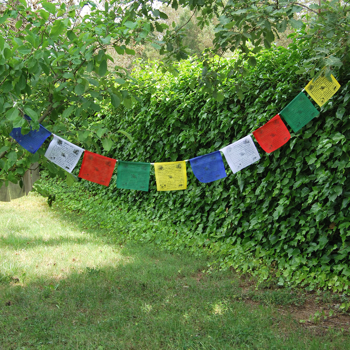 Tibetan prayer flag